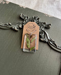 Vivid green leaf preserved in clear rectangular resin pendant necklace on silver-tone chain, displayed on Stone & Stem Jewelry card