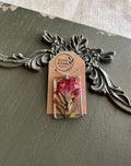 Indian Paintbrush wildflower preserved whole in clear rectangular resin pendant necklace on silver-tone chain, displayed on Stone & Stem Jewelry card