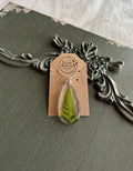Real fern frond preserved in a clear teardrop resin pendant on a silver chain, displayed on a Stone & Stem Jewelry kraft card